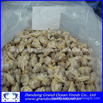 FROZEN BOILED BABY CLAM MEAT